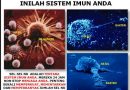 Ilmu Pengetahuan Transfer Factor: Penerobosan dan Penemuan